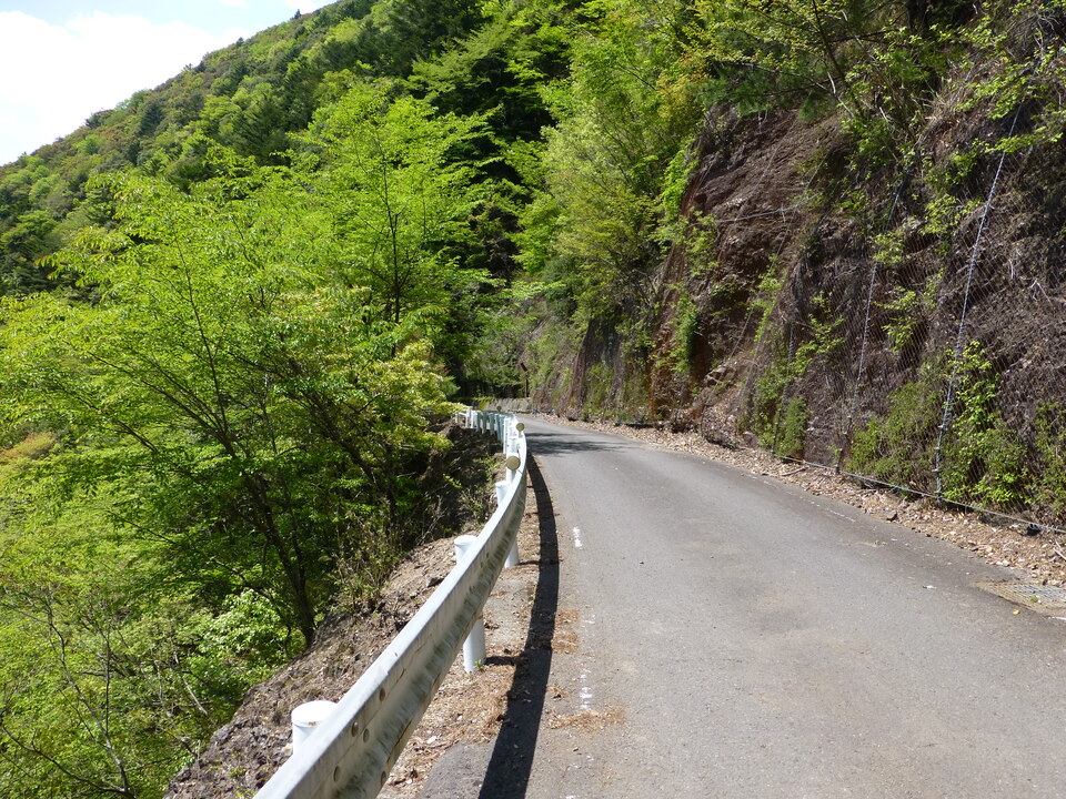 P1050525_mid.jpg