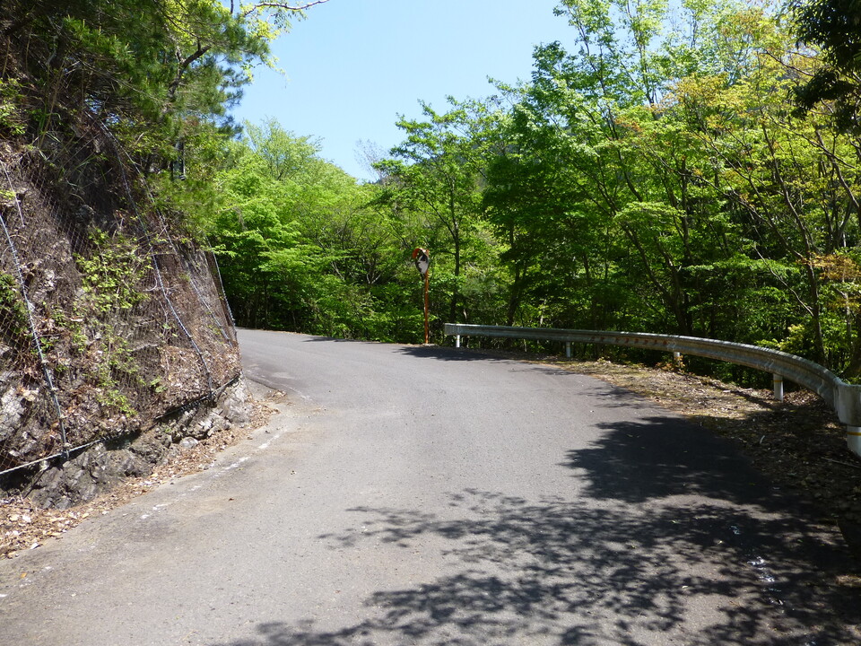 P1050526_mid.jpg