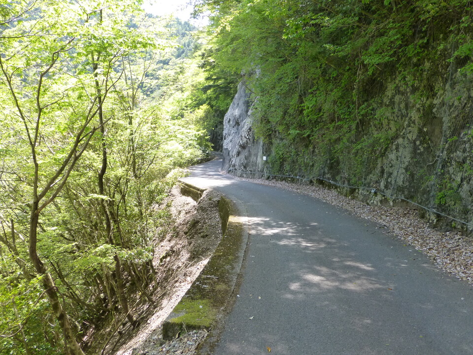 P1050527_mid.jpg