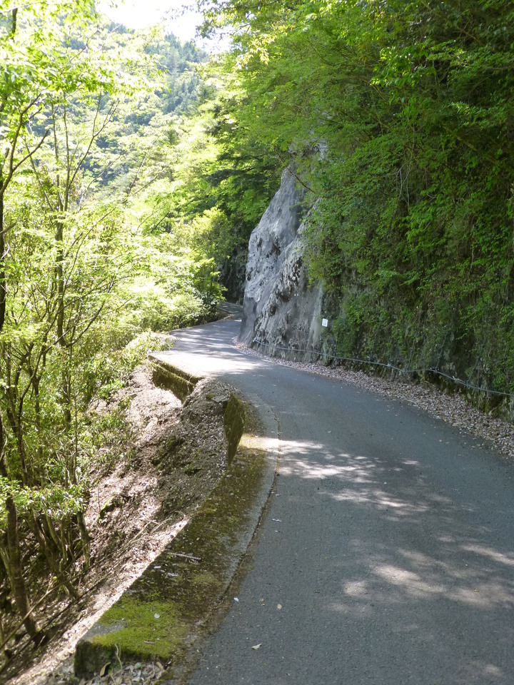 P1050528_mid.jpg