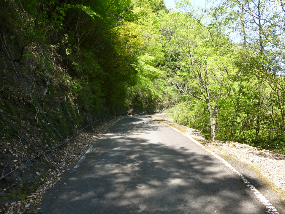 P1050529_mid.jpg