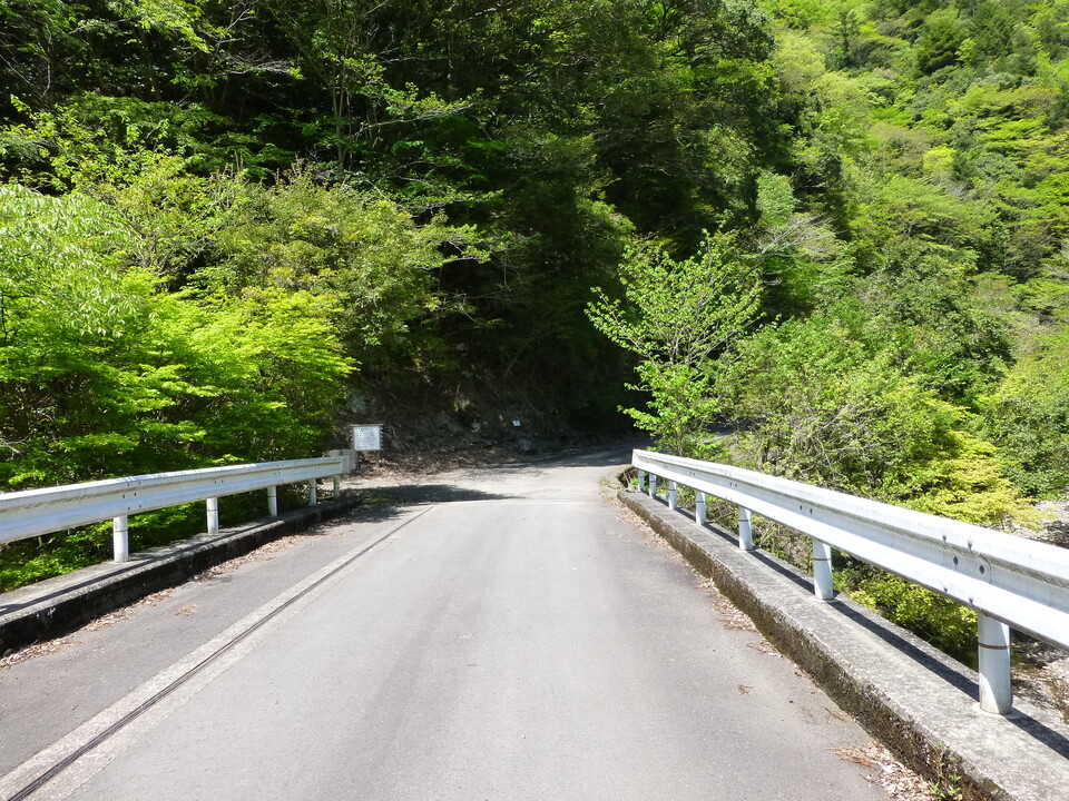 P1050531_mid.jpg