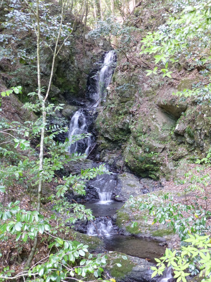 P1050534_mid.jpg
