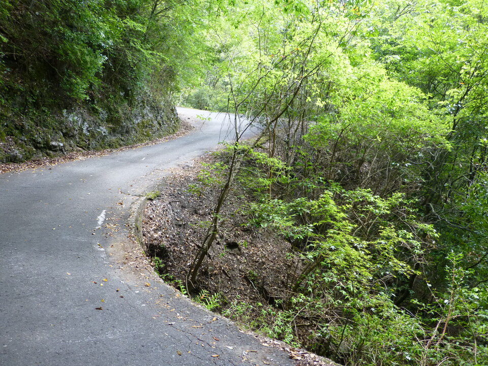 P1050536_mid.jpg