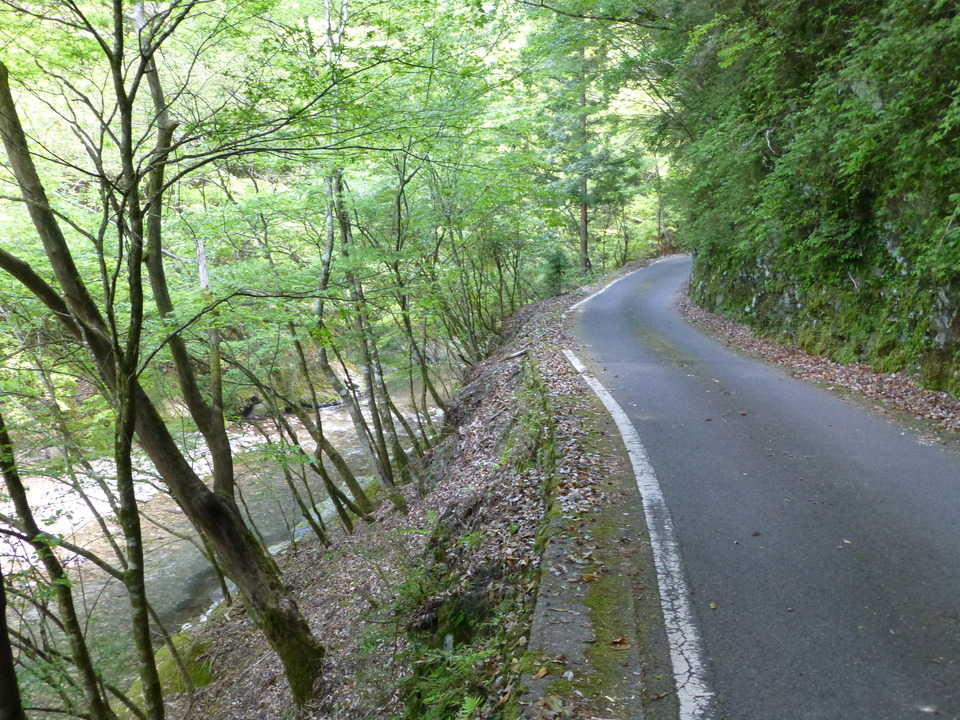 P1050537_mid.jpg