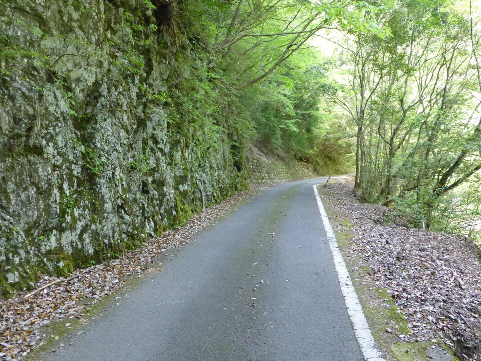 P1050538_mid.jpg