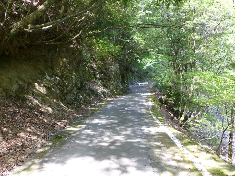P1050540_mid.jpg