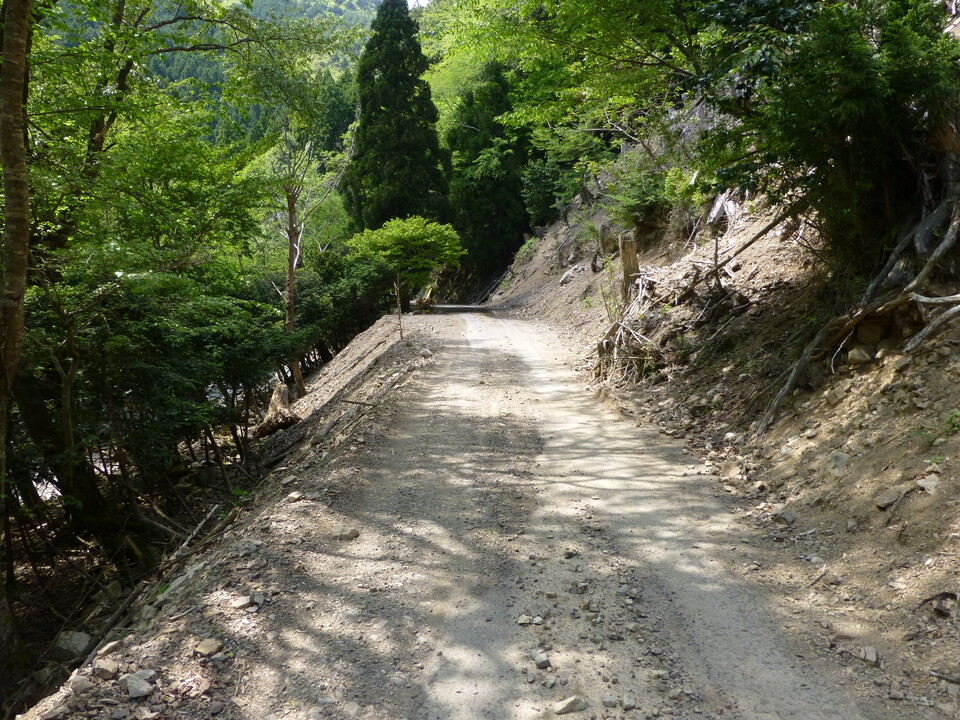 P1050541_mid.jpg