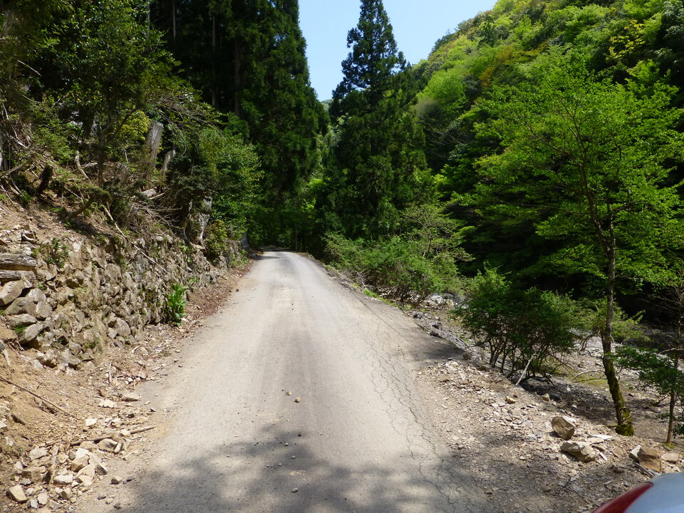 P1050542_mid.jpg