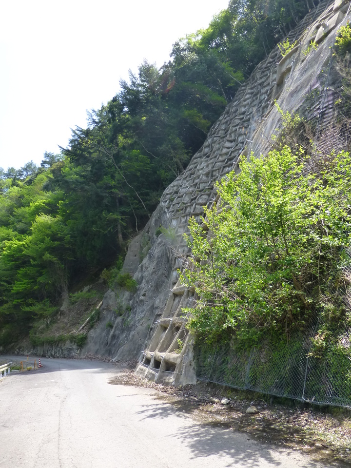 P1050545_mid.jpg