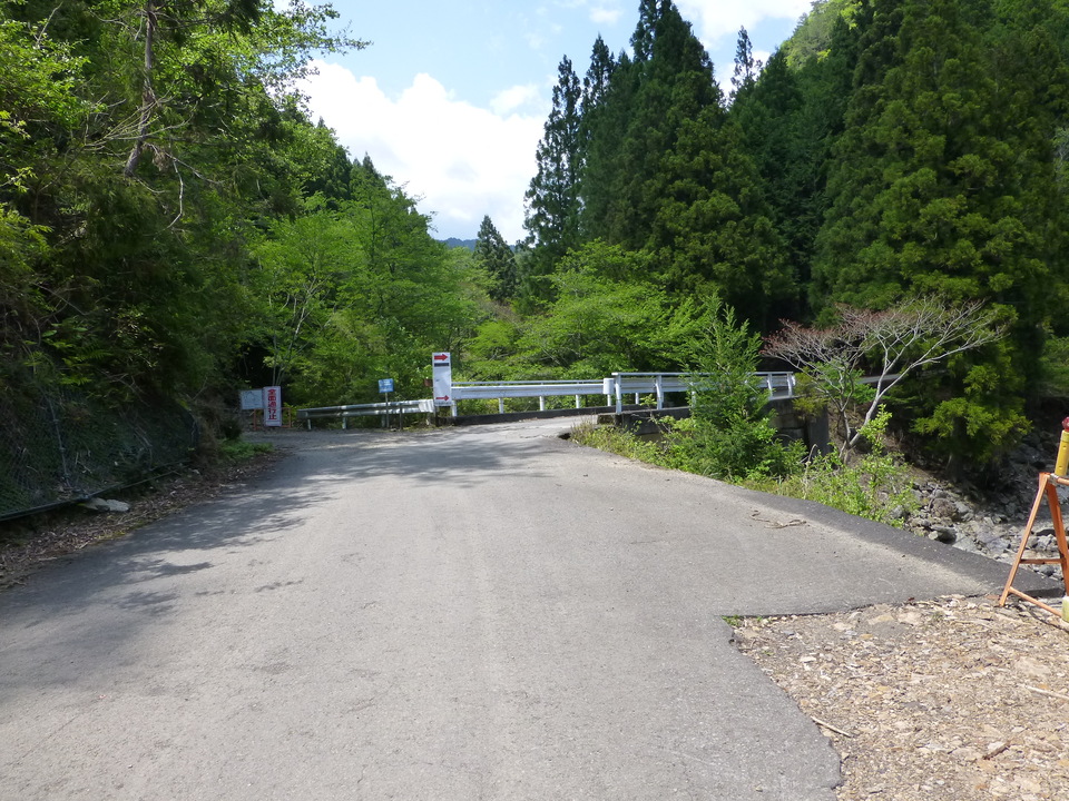 P1050546_mid.jpg