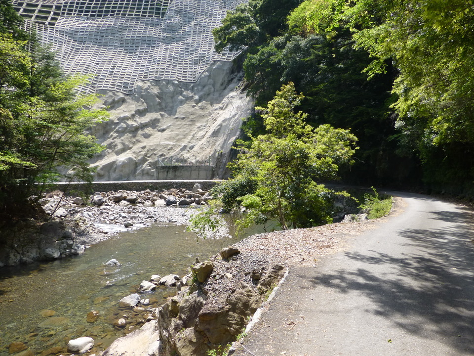 P1050549_mid.jpg