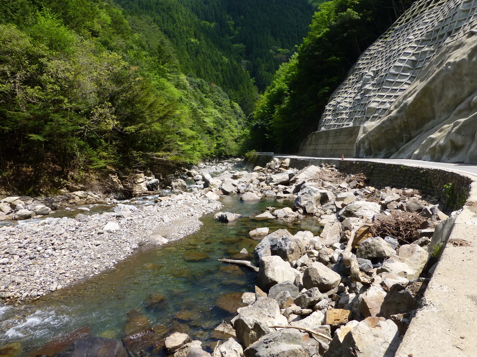 P1050552_mid.jpg