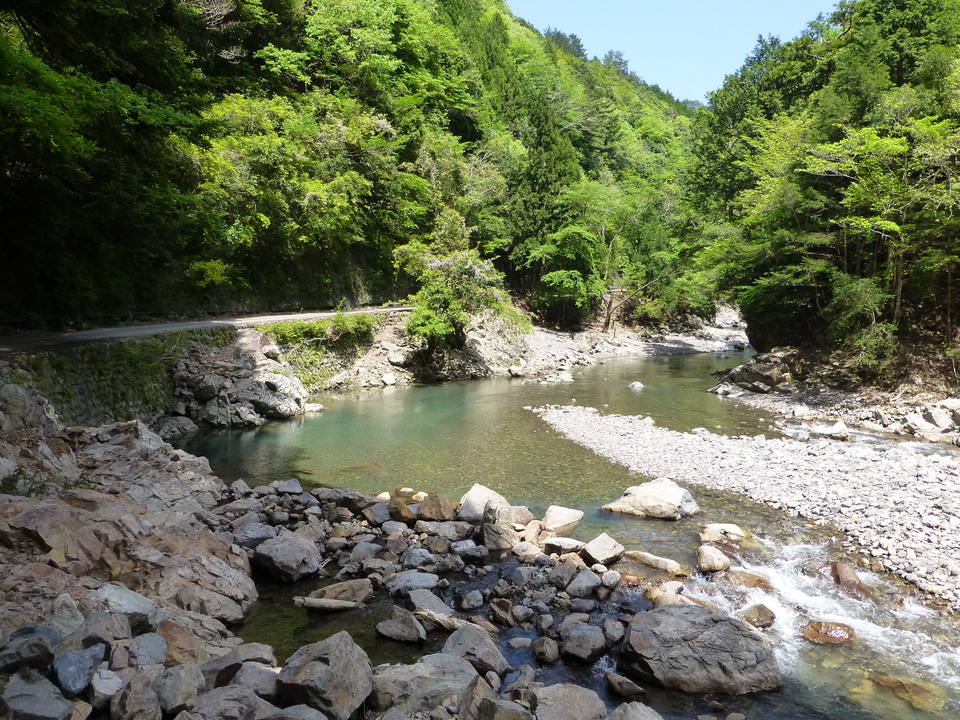 P1050553_mid.jpg