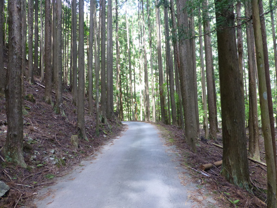 P1050555_mid.jpg