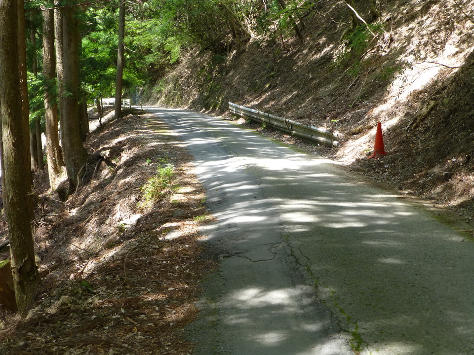 P1050556_mid.jpg