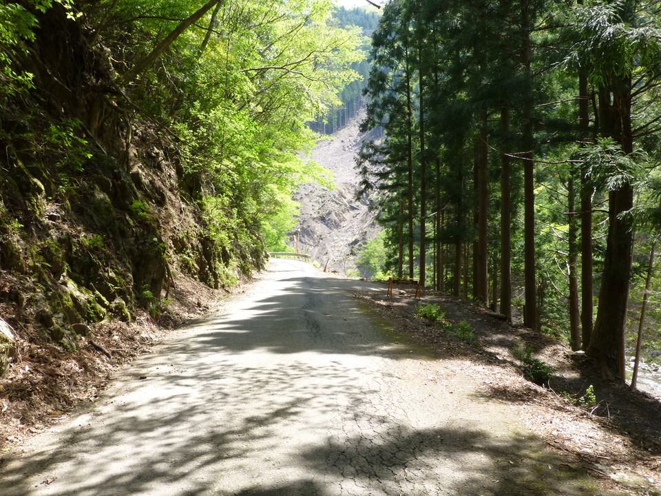 P1050557_mid.jpg