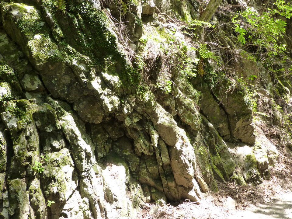 P1050558_mid.jpg