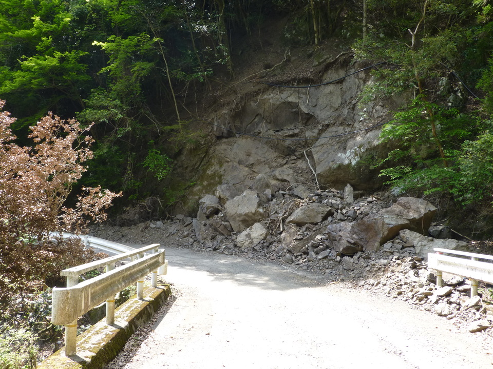 P1050560_mid.jpg