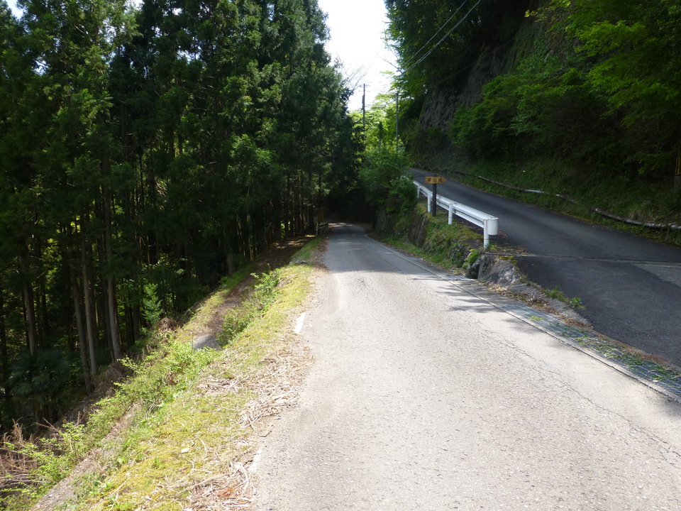 P1050567_mid.jpg