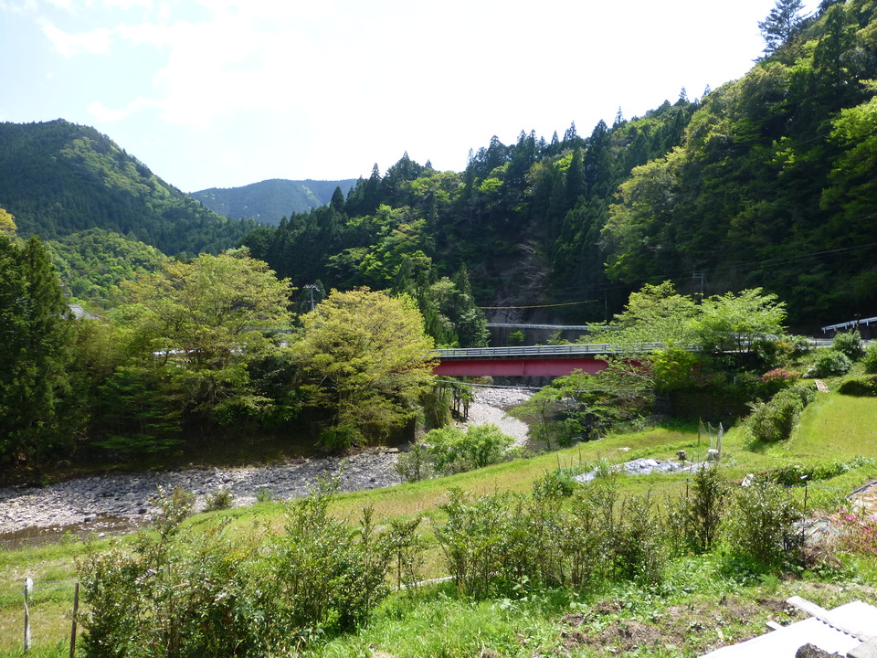P1050569_mid.jpg