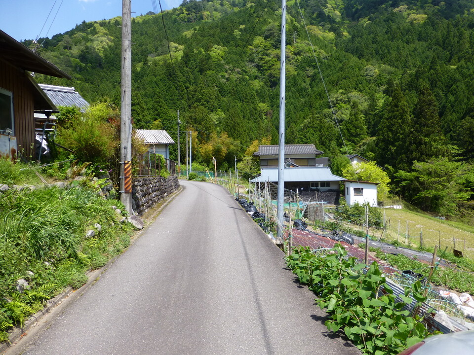 P1050570_mid.jpg