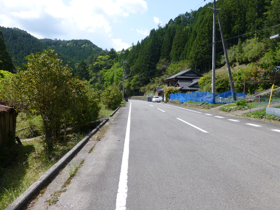 P1050571_mid.jpg
