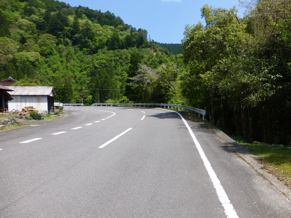 P1050572_mid.jpg