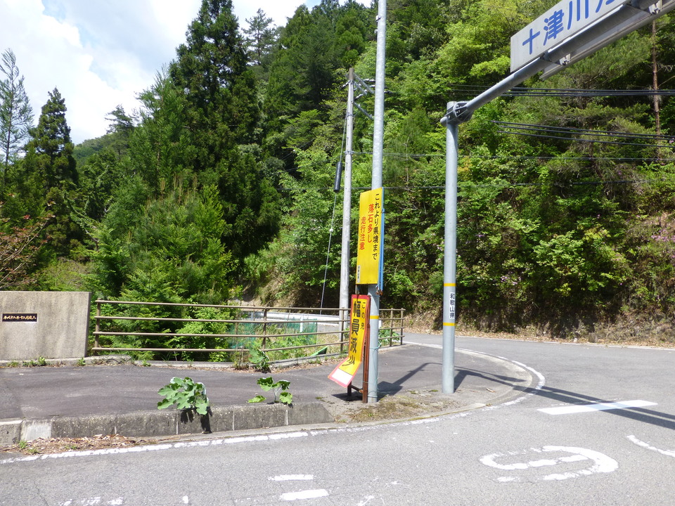 P1050576_mid.jpg