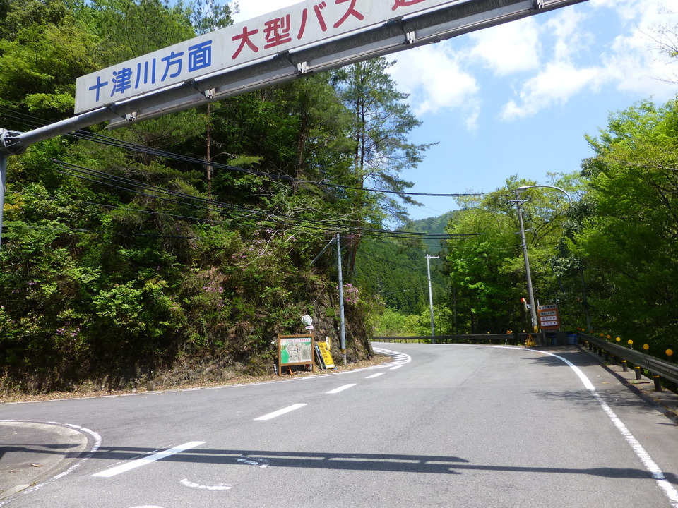 P1050577_mid.jpg