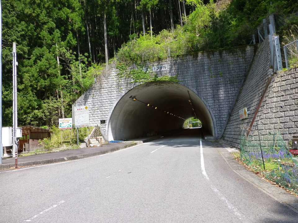 P1050581_mid.jpg