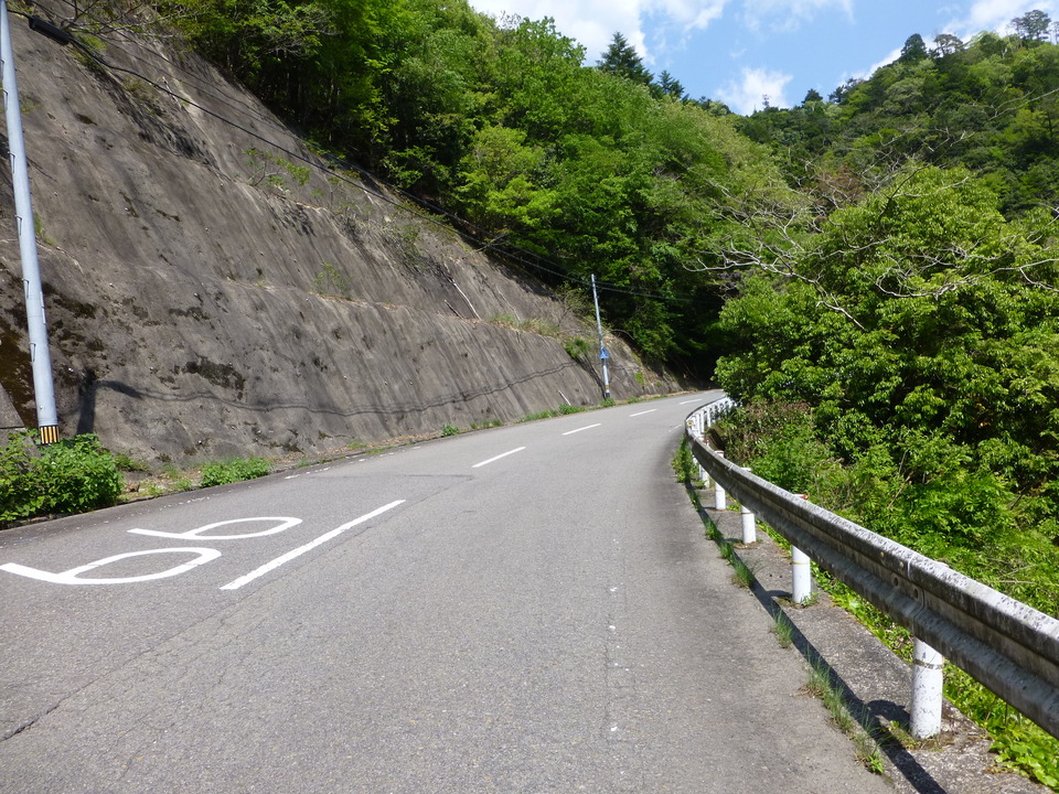 P1050586_mid.jpg