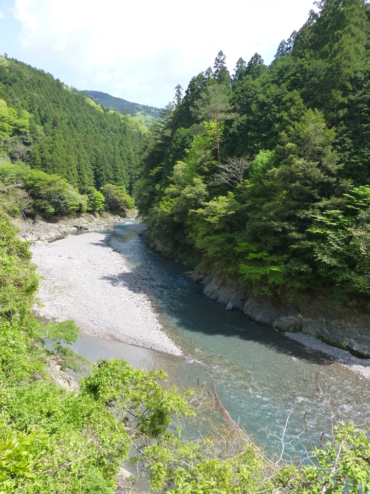 P1050587_mid.jpg
