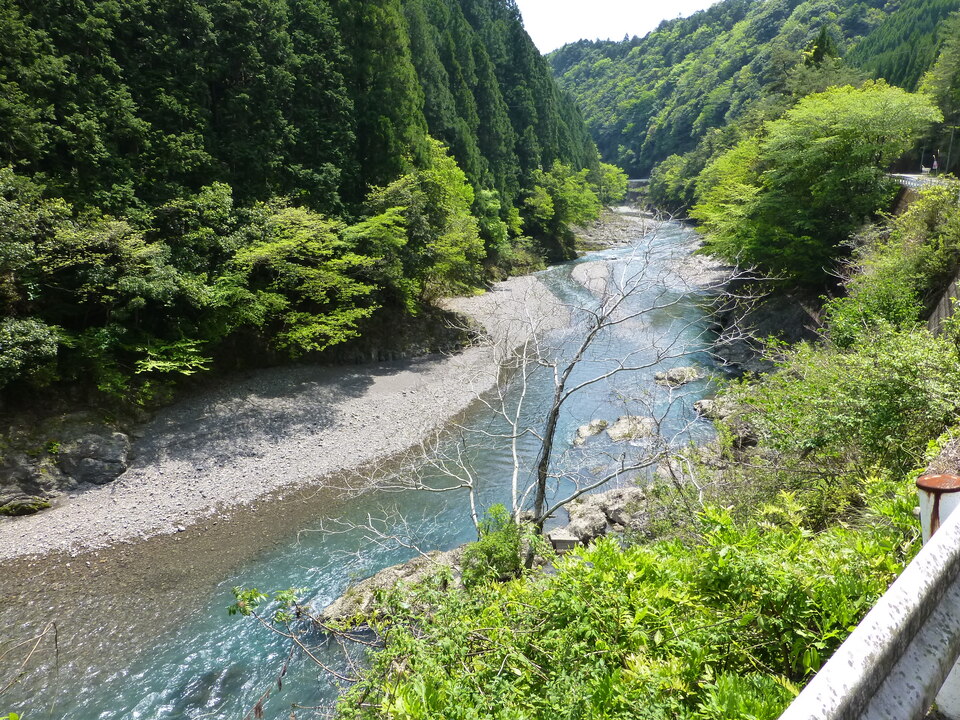 P1050588_mid.jpg