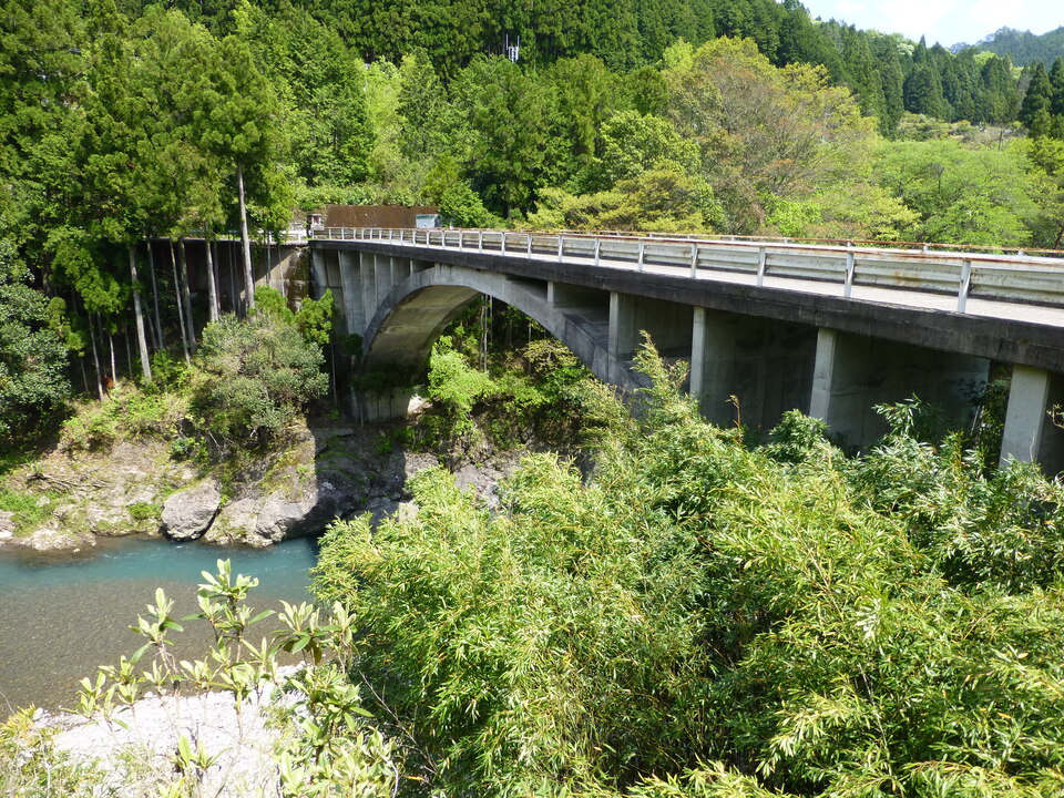 P1050590_mid.jpg