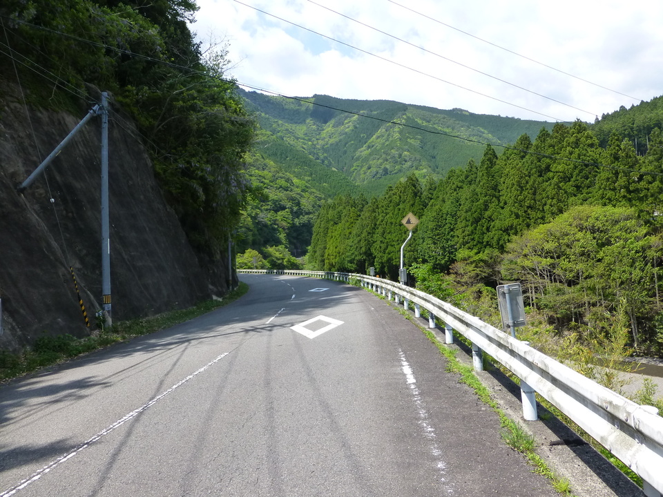 P1050591_mid.jpg