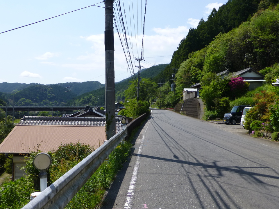 P1050599_mid.jpg