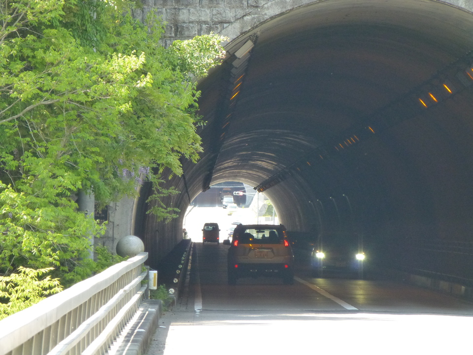 P1050616_mid.jpg