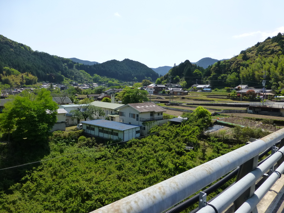 P1050619_mid.jpg