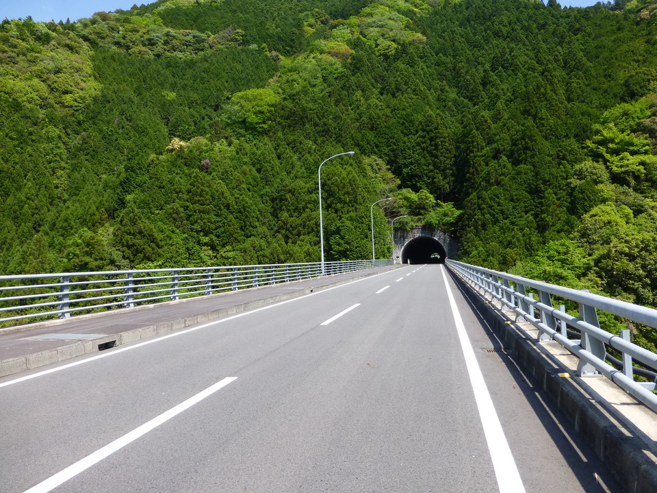 P1050621_mid.jpg