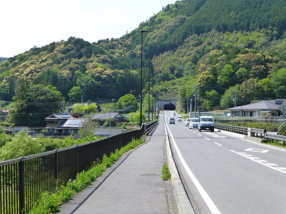 P1050623_mid.jpg