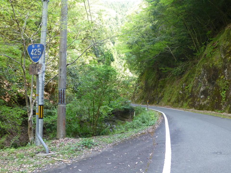 P1050635_mid.jpg