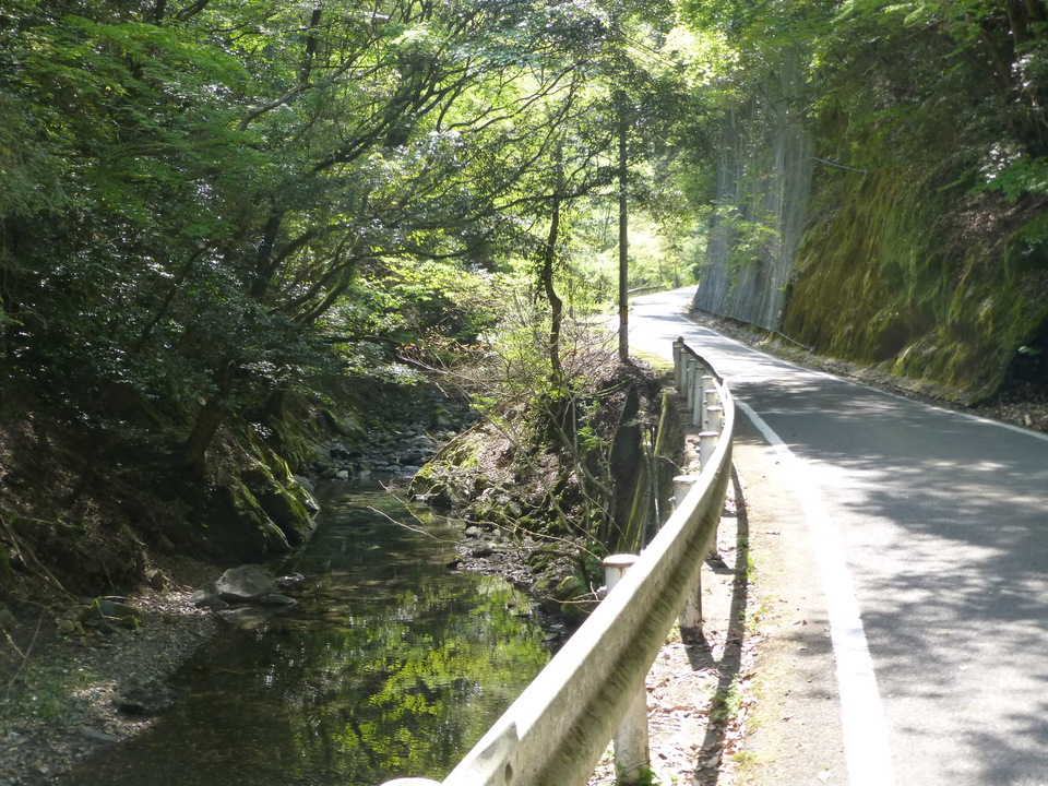 P1050638_mid.jpg