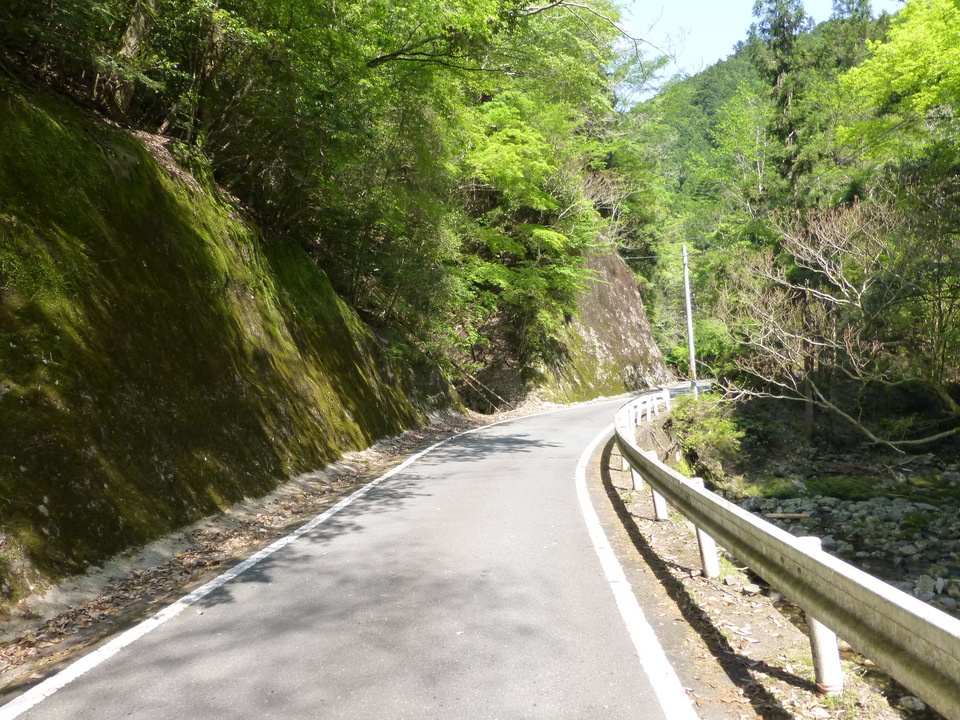 P1050639_mid.jpg