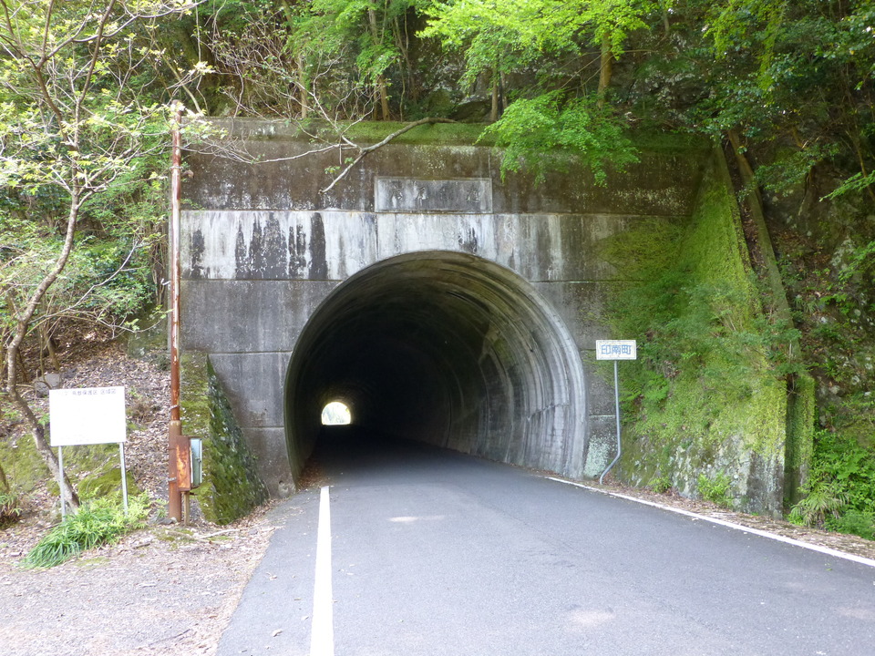 P1050642_mid.jpg