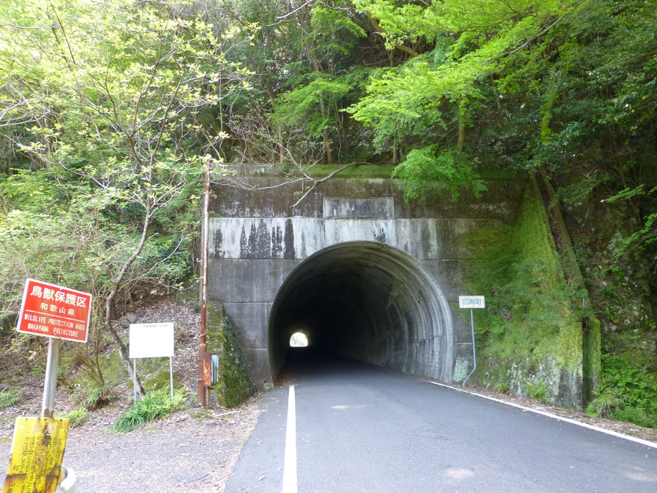 P1050644_mid.jpg