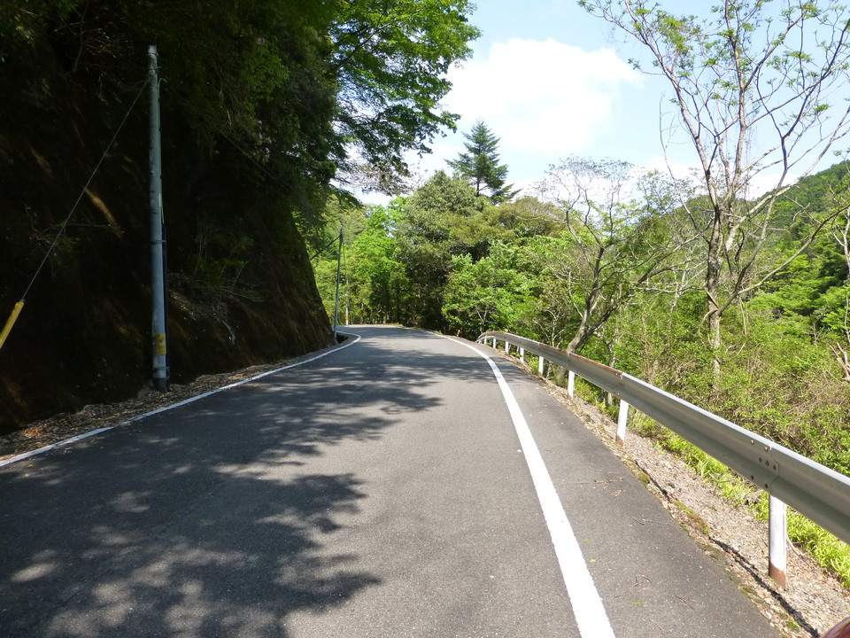 P1050645_mid.jpg