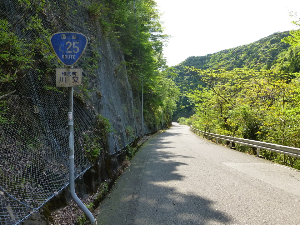 P1050646_mid.jpg