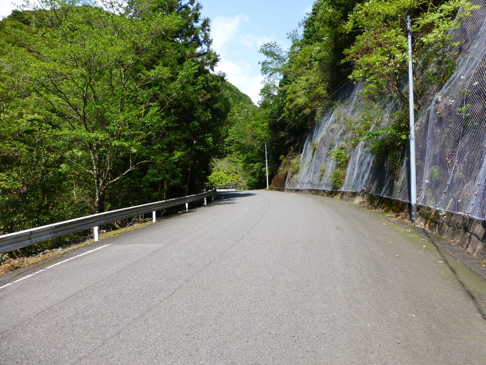 P1050647_mid.jpg