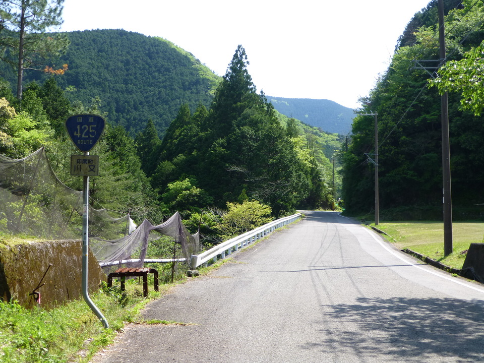 P1050648_mid.jpg
